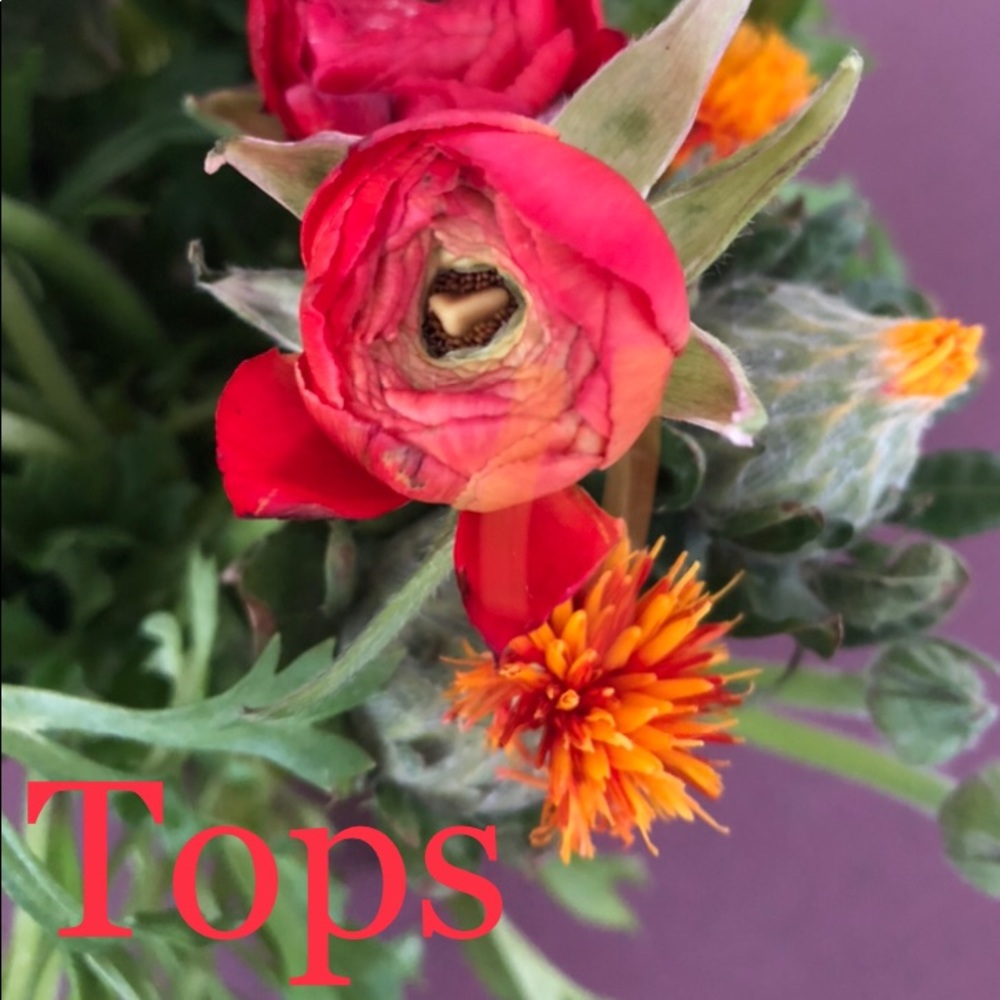 Tops-tanks, blouses, active wear. More to come!